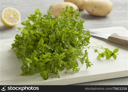 Heap of fresh green chickweed on a cutting board