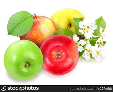 Heap of fresh motley apples with green leaf and flowers. Placed on white background. Close-up. Studio photography.