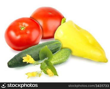 Heap of fresh motley vegetables with green leaf and yellow flowers. Placed on white background. Close-up. Studio photography.