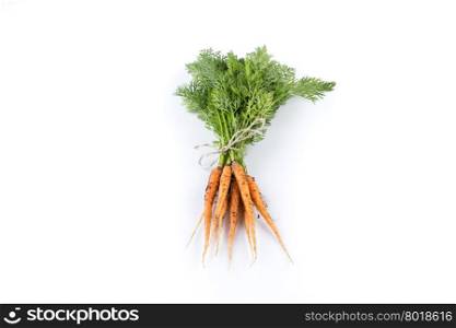 heap of freshly picked carrots isolated on white