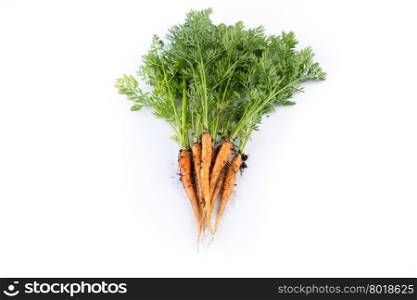 heap of freshly picked carrots isolated on white