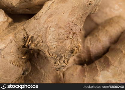 heap of ginger root close up for background