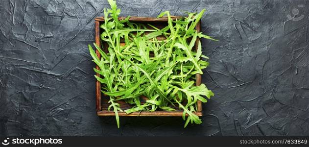 Heap of green fresh rucola or arugula leaf in wooden box.Fresh arugula salad. Fresh arugula or rucola leaves