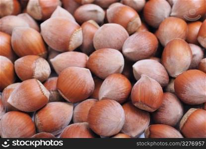 heap of hazelnuts. food background