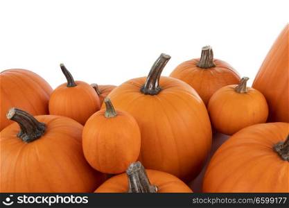 Heap of many orange pumpkins isolated on white background , Halloween concept. Heap of orange pumpkins