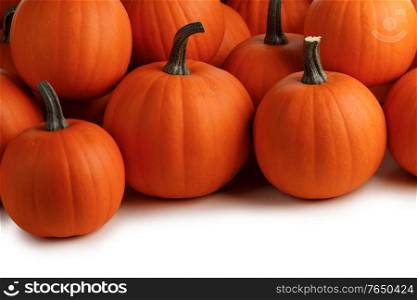 Heap of many orange pumpkins isolated on white background , Halloween concept. Heap of orange pumpkins