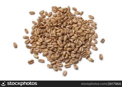 Heap of raw Farro grains on white background