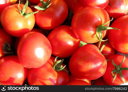 heap of red tomatoes . big heap of red and ripe tomatoes