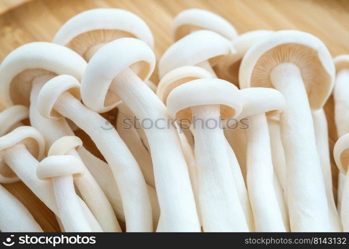 Heap of shimeji white beech mushrooms on wooden tray
