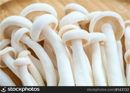 Heap of shimeji white beech mushrooms on wooden tray