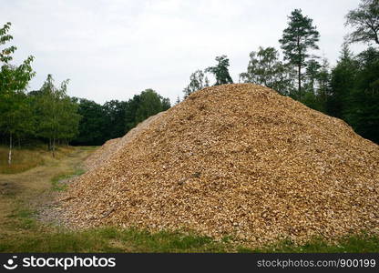 Heap of slivers in dark forest in Denmark