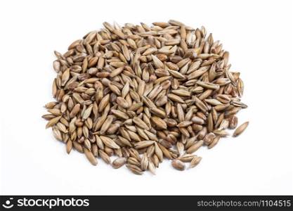 Heap of wheat seed on white background