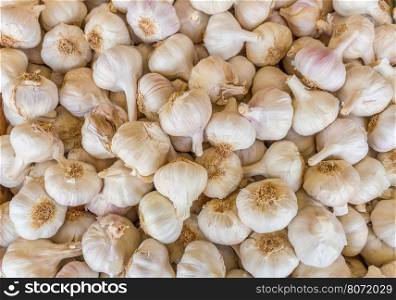 Heap of white garlic bulbs on market place