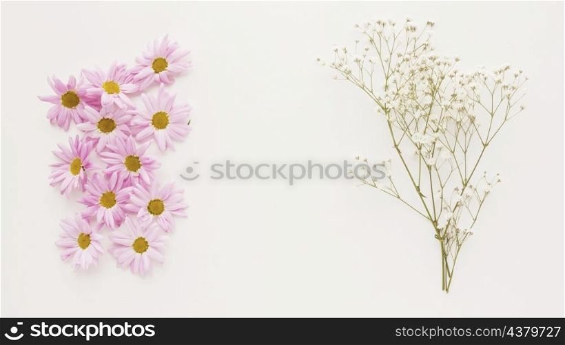 heap pink daisy flower buds near plant twig
