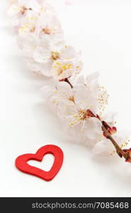 Heart and sakura. Nature composition. Conceptual design.