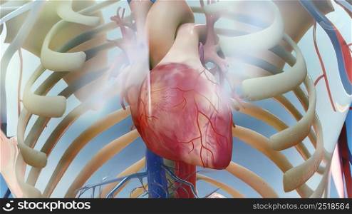 Heart failure means that the heart is unable to pump blood around the body properly. 3D illustration. Heart failure means that the heart is unable to pump blood around the body properly.