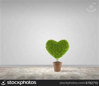 Heart in pot. Conceptual image of plant in pot shaped like heart