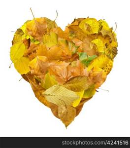 Heart made of autumn leaves. White isolated