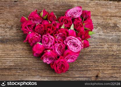 heart of fresh pink roses buds isolated on white background