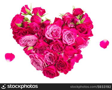 heart of fresh roses buds isolated on white background