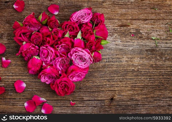 heart of fresh roses buds isolated on white background