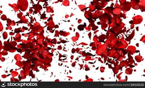 Heart of Rose Petals exploding, Alpha