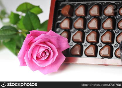 Heart shape chocolate and pink rose close up