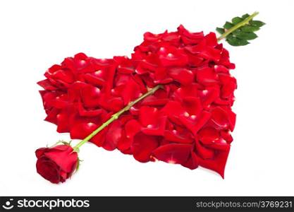 Heart shape made out of rose petals isolated on white