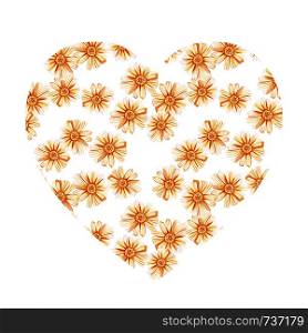 Heart shape with yellow orange daisies. Watercolor wildflowers on white background. Field of daisies. Design for natural cosmetics, herbal tea, fabric.. Heart shape with yellow orange daisies.
