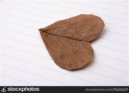 Heart shaped cut leaf placed on paper