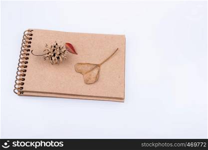 Heart shaped leaf, pine cone and a notebook on a white background
