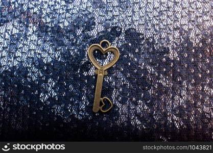 Heart shaped retro metal key on bright background