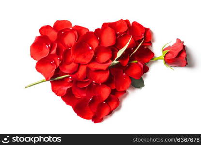 Heart shaped roses. Heart shaped bouquet of red roses isolated on white background