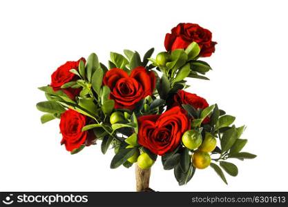 Heart shaped roses. Heart shaped red roses on tree isolated on white background