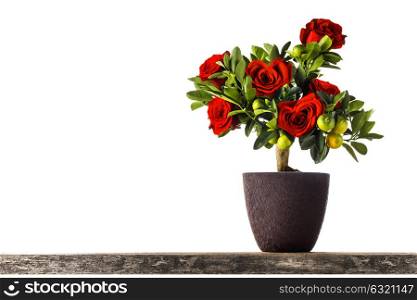 Heart shaped roses. Heart shaped red roses on tree isolated on white background