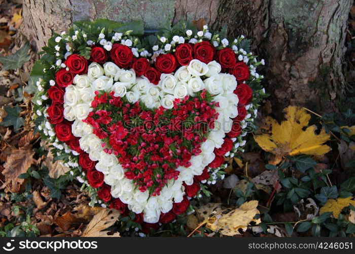 heart shaped sympathy floral arrangement with red and white roses