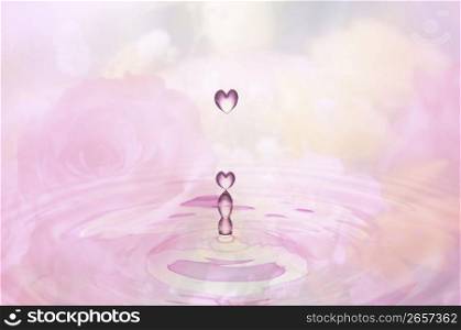 Heart shaped water droplets, falling into a rose watered background