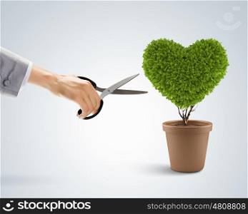 Heart symbol. Image of human hand cutting leaves of plant in shape of heart