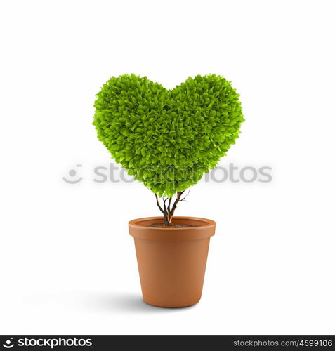 Heart symbol. Image of plant in pot shaped like heart