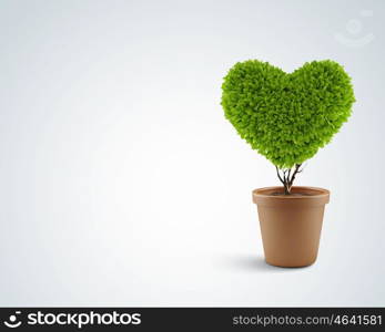 Heart symbol. Image of plant in pot shaped like heart