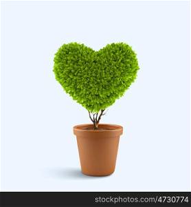 Heart symbol. Image of plant in pot shaped like heart