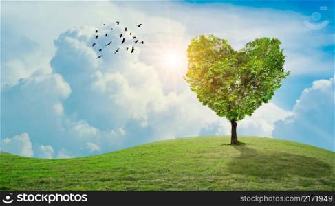 Heart Tree Love For Nature Landscape