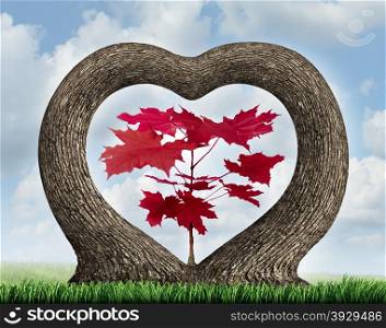 Heart tree with two growing plants merging together in romance giving birth to a red leaf maple as a love concept of beauty in nature and a metaphor for valentine or loving nature and the environment.
