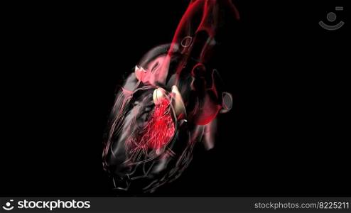 heart with blood action close up 3d illustration. heart with blood action close up illustration
