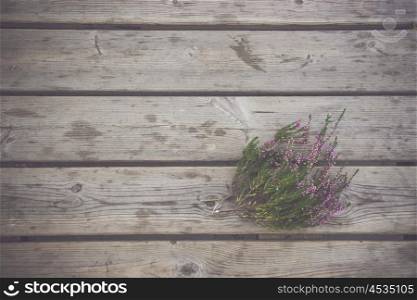 Heather plant with purple flowers on a wooden background