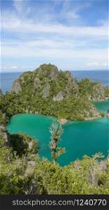heavenly and remote islands. Piaynemo Lagoon, Fam Archipelago, North Raja Ampat, one of the most beautiful and pristine lagoon in Indonesia