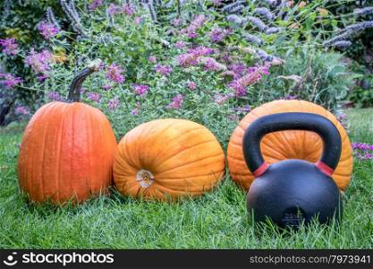 heavy iron kettlebell and pumpkins in a backyard - holiday fitness concept