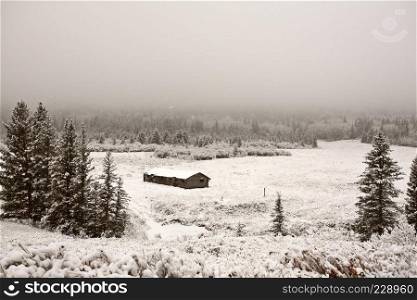 Heavy snow and ice fog in Cypress Hills