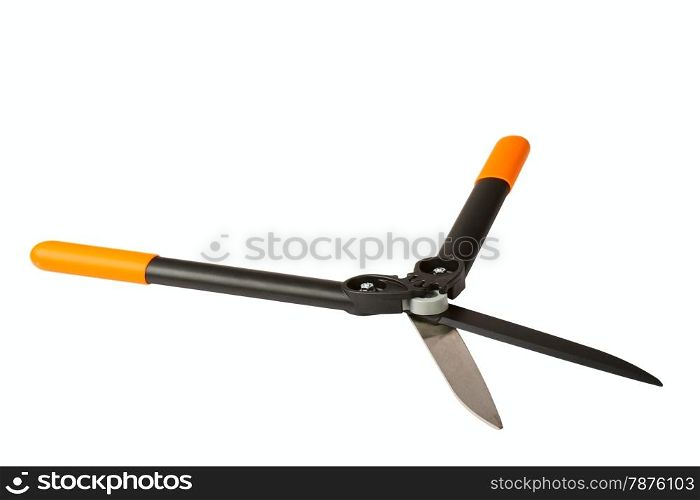 Hedge Trimmer isolated on a white background