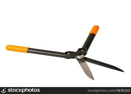 Hedge Trimmer isolated on a white background
